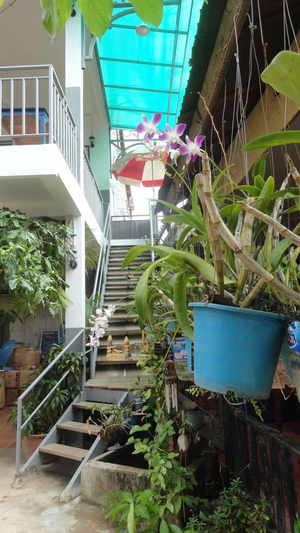 Green Park Village Guesthouse Siem Reap Exteriör bild